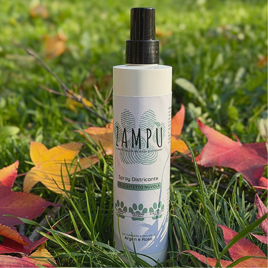 PetZolla - Spray Pulisci Zampe Cane Naturale Senza Risciacquo, 300ml, Con Olio Di Neem E Argan, Igienizza E Idrata