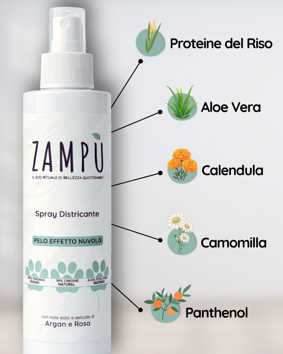 DISTRICANTE SCIOGLINODI