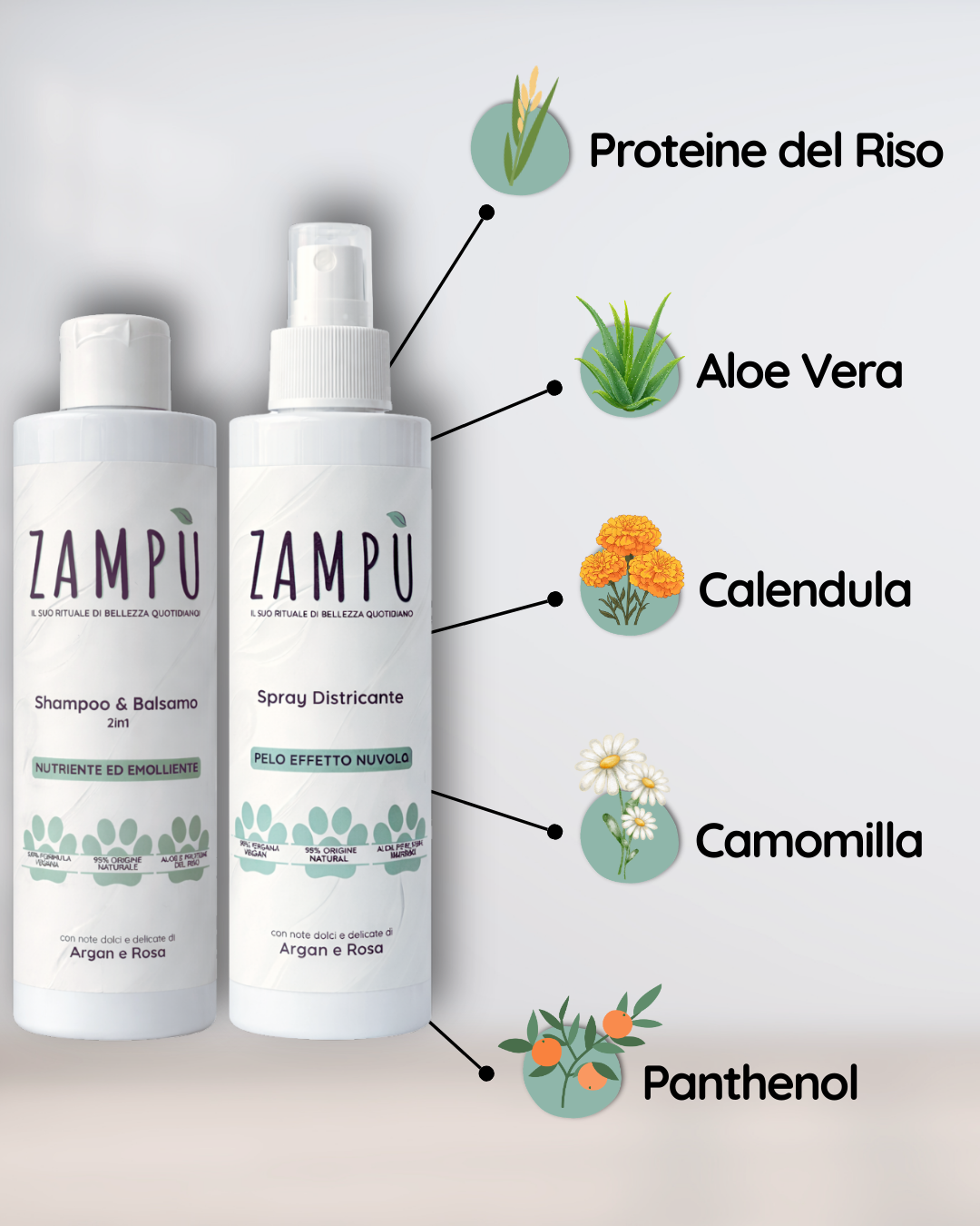 KIT PELO EFFETTO SETA