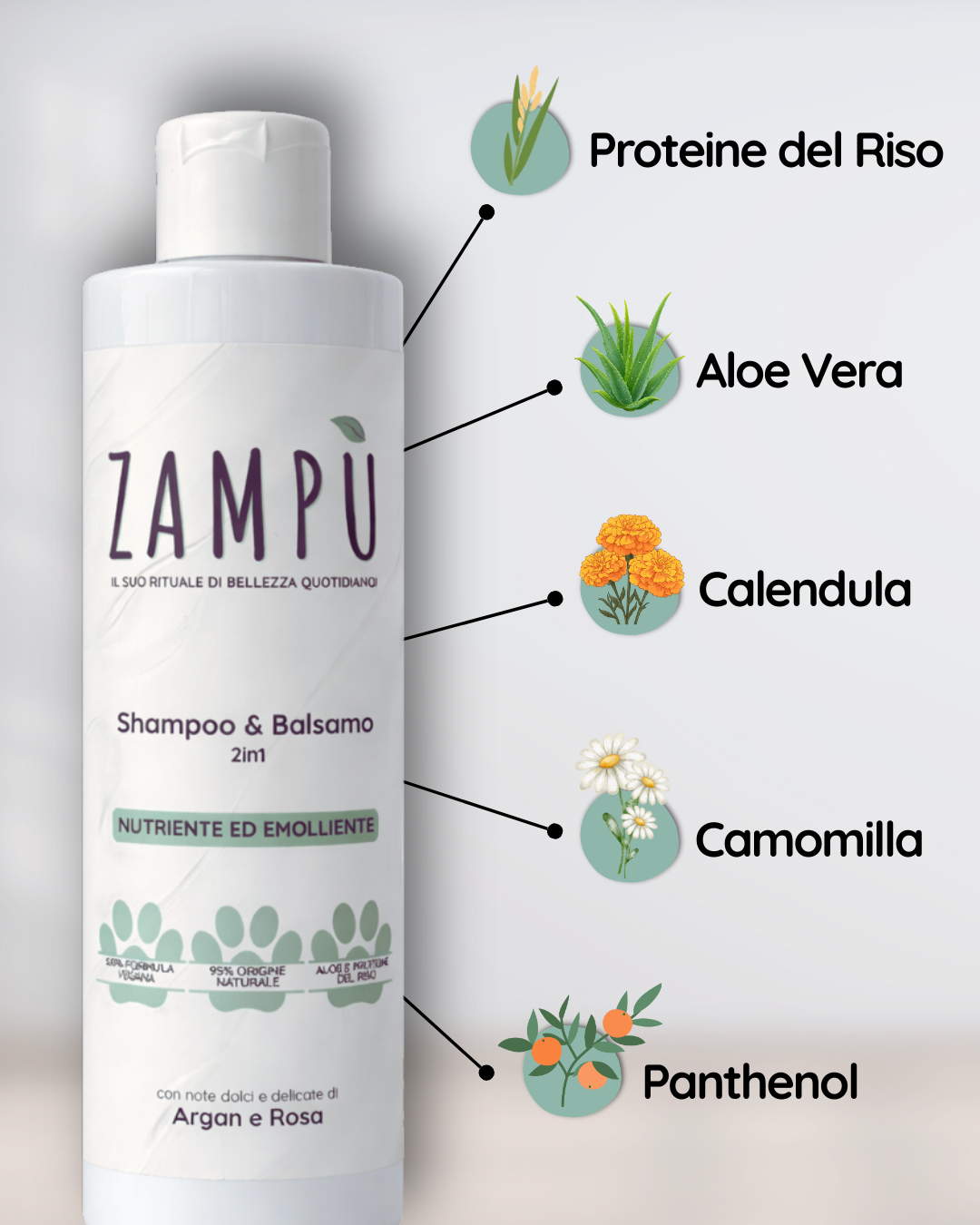 SHAMPOO & BALSAMO 2in1