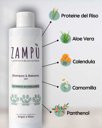 SHAMPOO E BALSAMO 2in1