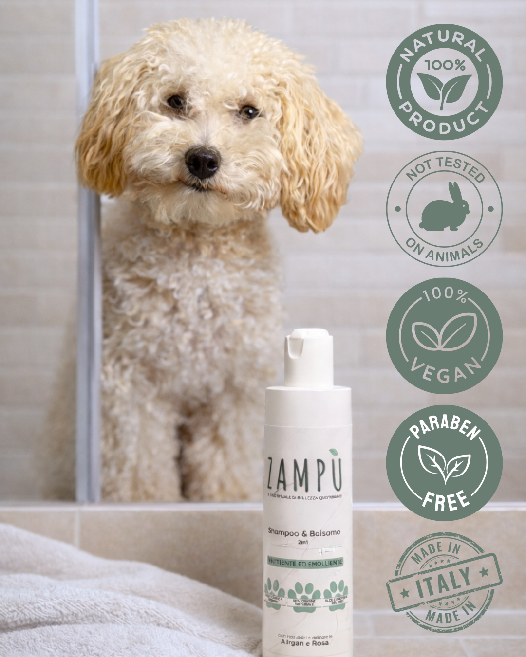 SHAMPOO E BALSAMO 2in1