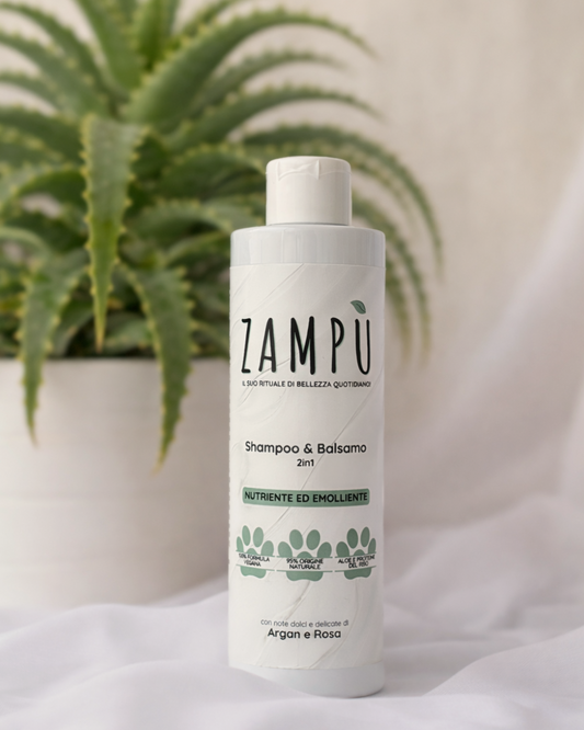 SHAMPOO E BALSAMO 2in1