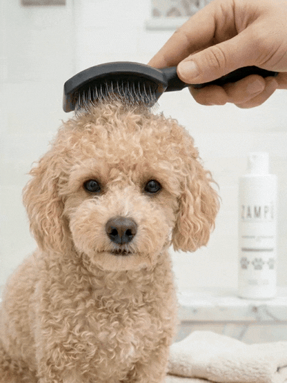 KIT PELO EFFETTO SETA