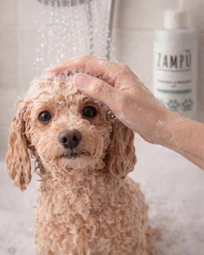 SHAMPOO E BALSAMO 2in1